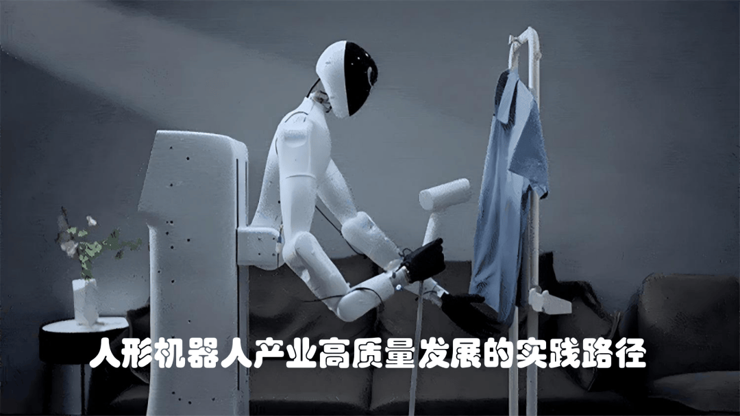 泰达视野｜人形机器人产业高质量发展的实践路径（上）