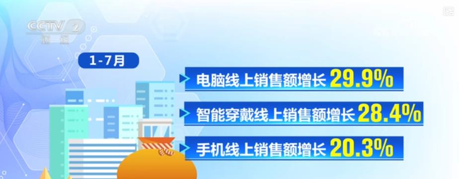 今年前7个月 我国电子商务持续健康发展
